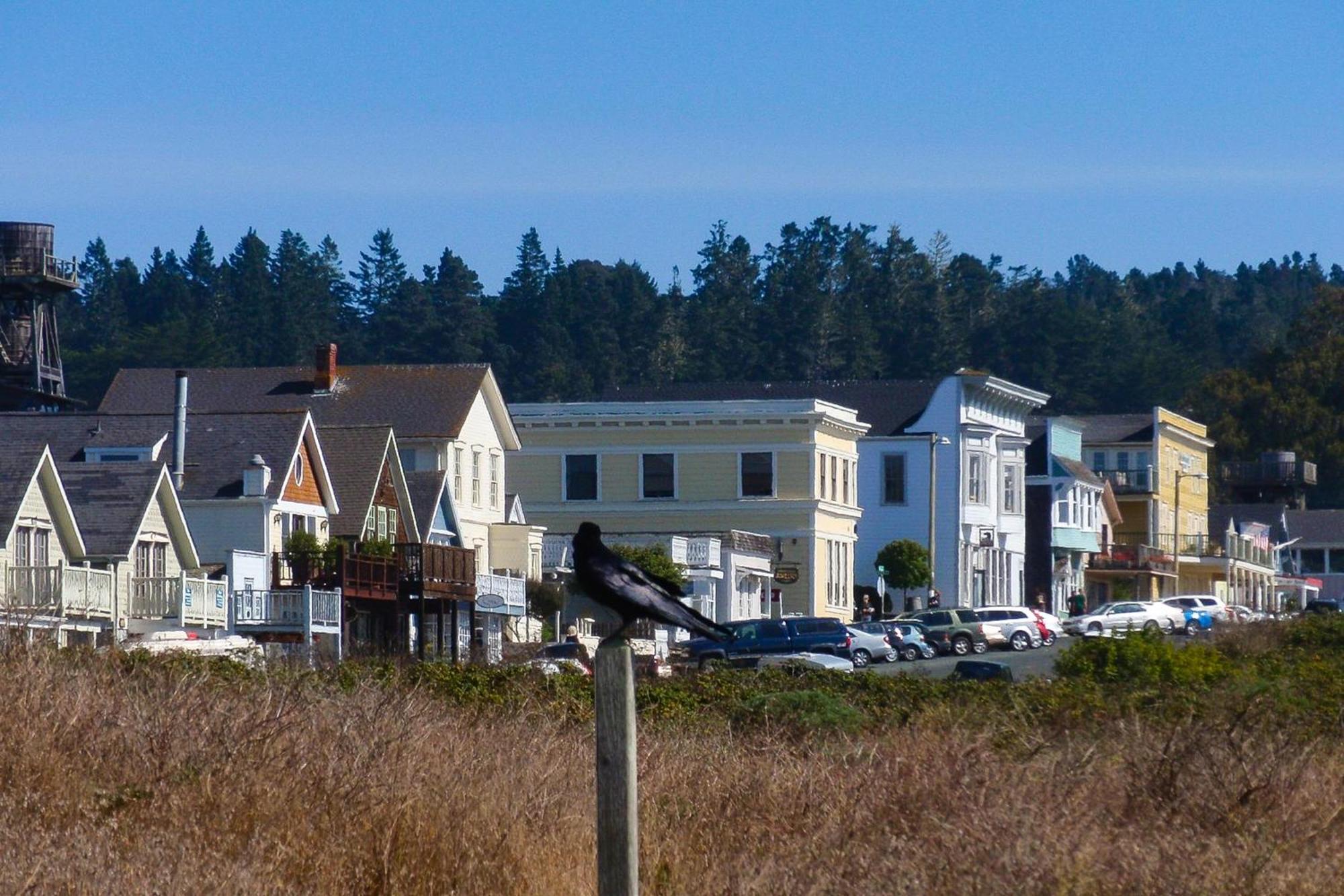 Mendocino Redwood Retreat - Vista Home Albion Exteriér fotografie